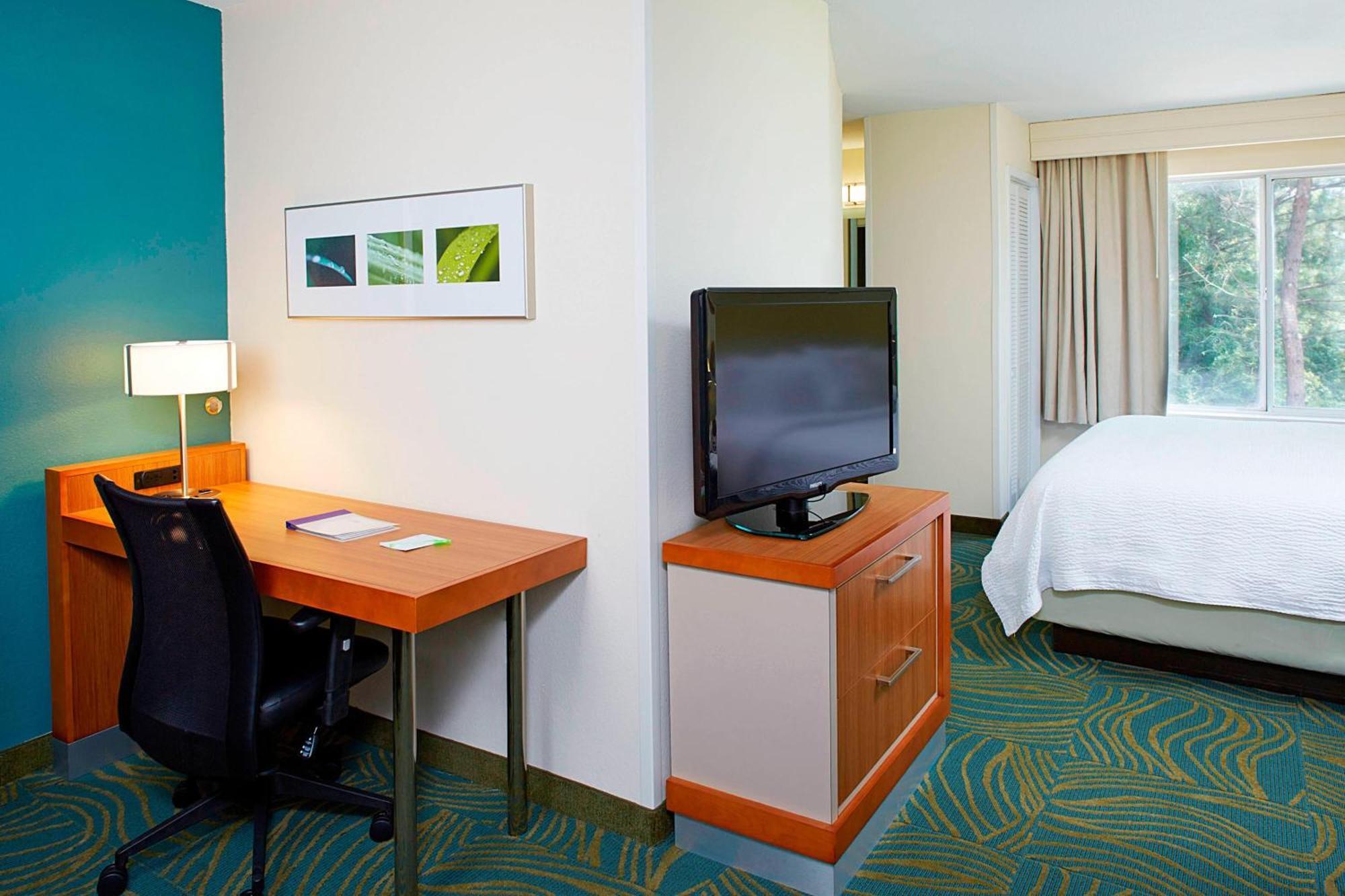 Springhill Suites By Marriott Atlanta Six Flags Lithia Springs Εξωτερικό φωτογραφία