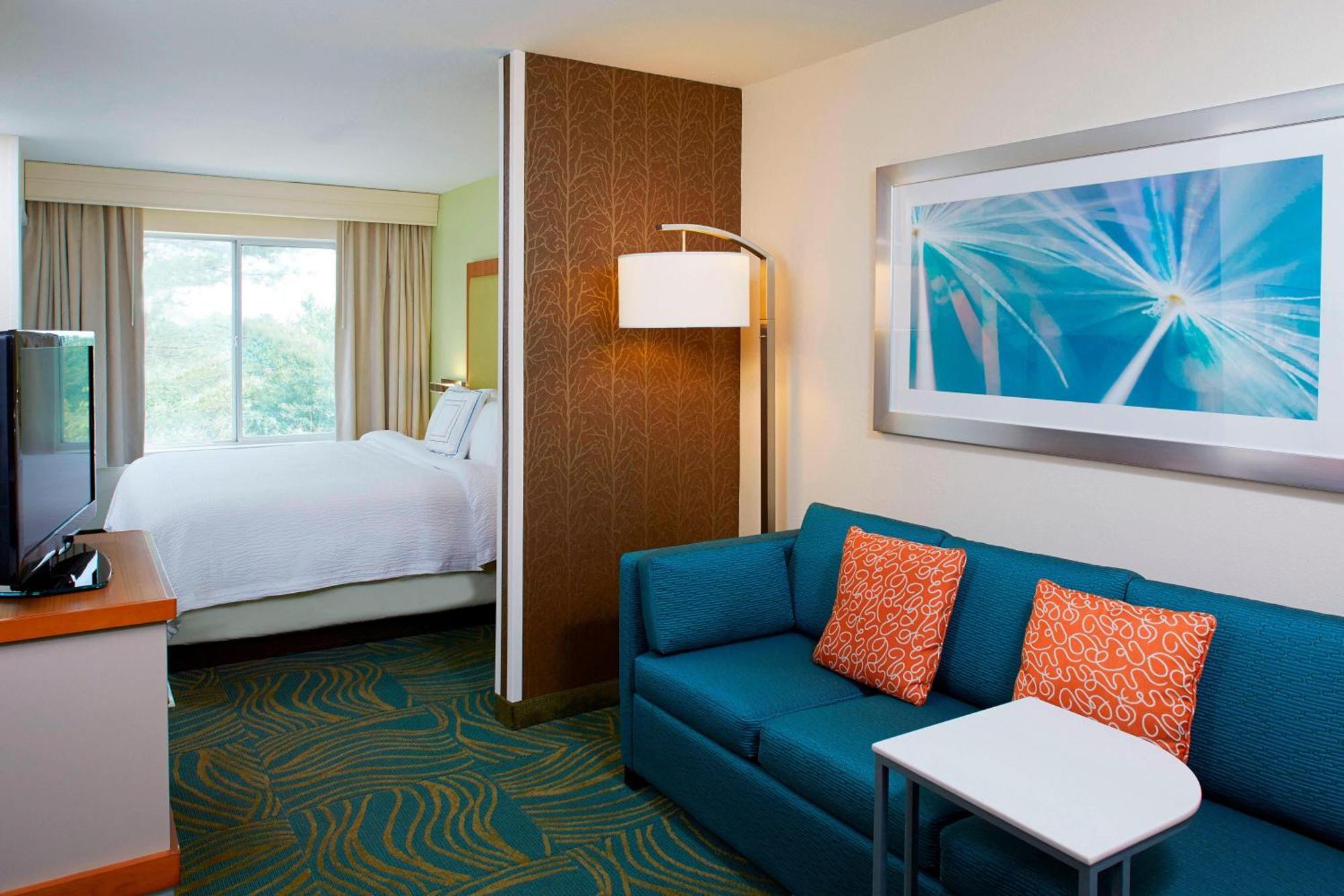 Springhill Suites By Marriott Atlanta Six Flags Lithia Springs Εξωτερικό φωτογραφία