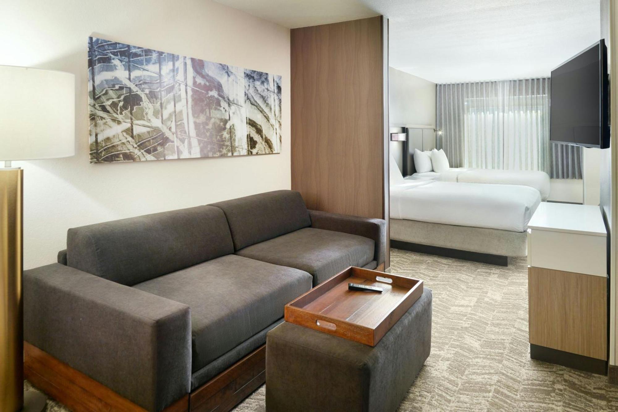 Springhill Suites By Marriott Atlanta Six Flags Lithia Springs Εξωτερικό φωτογραφία