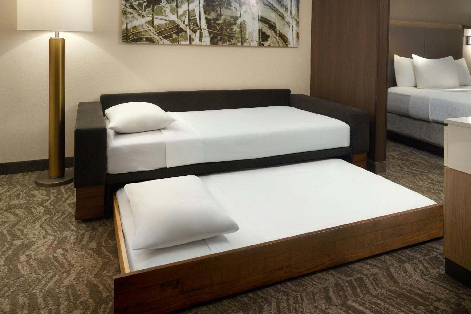 Springhill Suites By Marriott Atlanta Six Flags Lithia Springs Εξωτερικό φωτογραφία